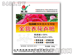 ȫ�I�B(y��ng)���ܷ�-����