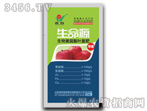 �O�������S�����~���-����Դ-����