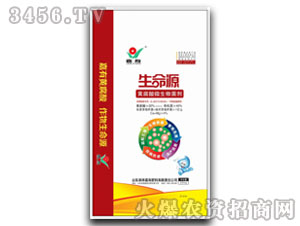 �S����΢�������-����