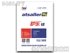 1000g΢��-�_���V-�r��