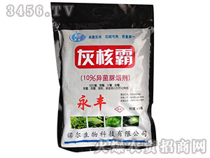 �����域��-�Һ˰�-�Z������