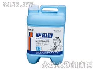 ����_ʩҺ-����ĸ-����