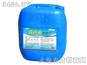 ���ٮ�-����ĸ-����