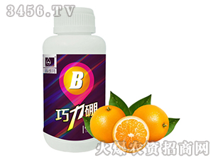 �}����Ԫ��ˮ�ܷ�-������-������