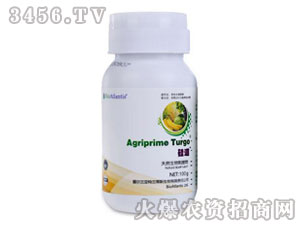 �����-���-��