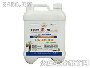 ��s���ǰl(f��)��Һ-����