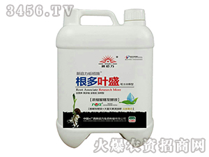 ��s���ǰl(f��)��Һ-�����~ʢ-����