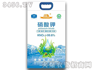 ��ꖌ�ϵ������⛏ͺϷ�-����-��������