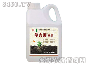 ֲ���{(di��o)��(ji��)��-����-������