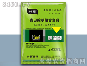 ������ݽM���ײͣ���(zhu��n)����~�s�ݢڣ�-�~��-�°��r(n��ng)