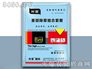 ������ݽM���ײͣ���(zhu��n)����~�s�ݢ٣�-�~��-�°��r(n��ng)