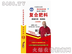 ���ߌ��Ï�(f��)�Ϸ�18-18-9-������