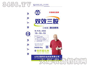 �pЧ������(f��)�Ϸ���19-19-19-������