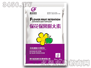 �������������-ʢ���߿�