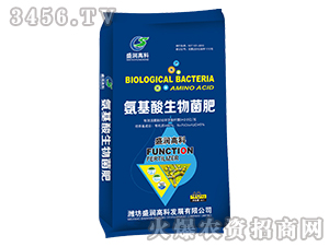 �������������-ʢ��(r��n)�߿�