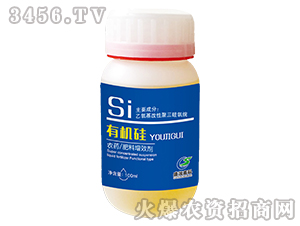 �ЙC(j��)��-ʢ��(r��n)�߿�