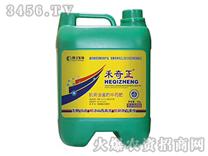 ���������Ϳ����x��ˎ��-������-�еº���