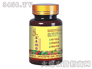 �����x������ˎ�Ƅ�-�ݱ��VĿ-�еº���