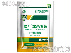 �²ˌ��Ú�����-����