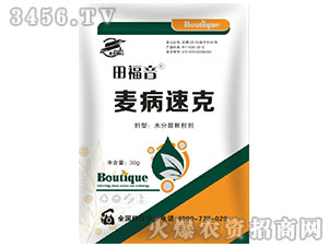 �����ٿ˚�����-���o(h��)�l(w��i)-����