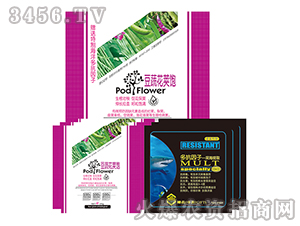 ���߻��v�-����-�����f��