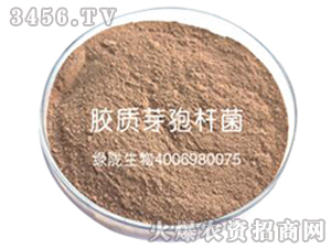 �z�|(zh��)ѿ�ߗU��-�G�]����