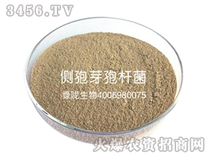 ��(c��)��ѿ�ߗU��100-�G�]����