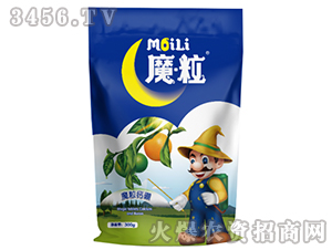 ħ���}���~���-ħ���ʘI(y��)