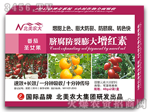 ����ʥŮ��Ě������������t��-�����r(n��ng)��