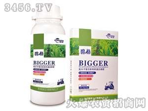 ���݌��ø߷��ӏ�(f��)�����ЙC����Һ��-�̸�-�ɭ