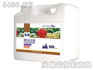 �в�ˎ���ø߷��ӏ�(f��)�����ЙC(j��)����Һ�ʣ����b��-�̸�-�ɭ