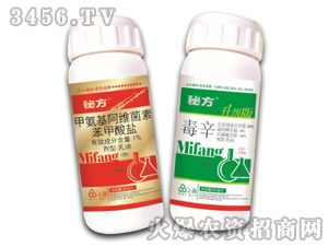 �ط�-Ҋ�x���x�����x��������Сͨ��