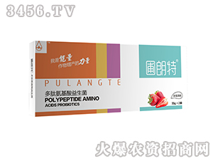 ��ݮ����-���İ�����������-������