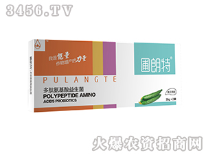 �S������-���İ�����������-������