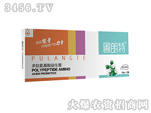 �޻�����-���İ�����������-������