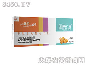 ��������-���İ�����������-������