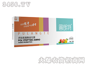 ��������-���İ�����������-������