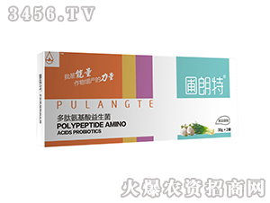 �[������-���İ�����������-������