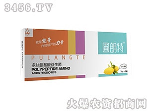 â������-���İ�����������-������