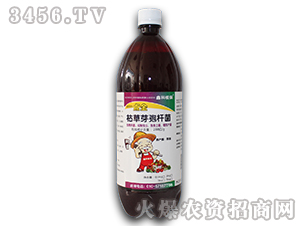 �ݲ�ѿ�ߗU��-һ�c��-�ο�ֲ��