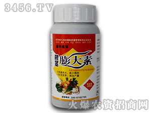 ���o�����-�ο�ֲ��