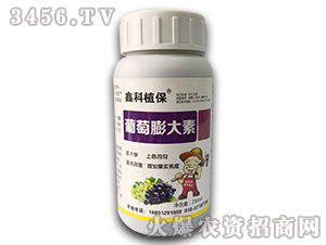 ���������-�ο�ֲ��