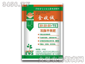 �pøƽ���20-20-20+te-�����\-�挚