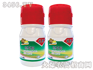 �f��ͪ�Ҹ���-����-�G�µ�