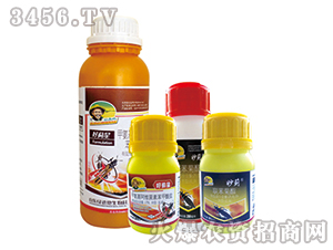 �װ������S���ر������}����-���E��-�G�µ�