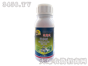 �����pˮ��-�׶��`-�G�µ�