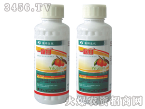 10%�����}���`-һ·��-����