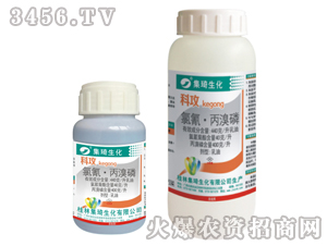 ���衤����������-��M��-����