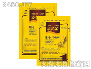 ����������ͪ������-���S��-ɳ¡�_(d��)