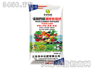 �i�f�}�����\�F�V��-�A�л���